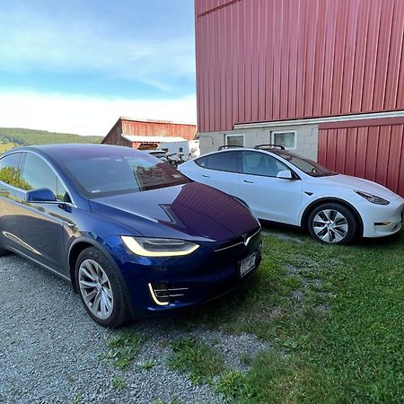 Idea Farm Otel Callicoon Center Dış mekan fotoğraf