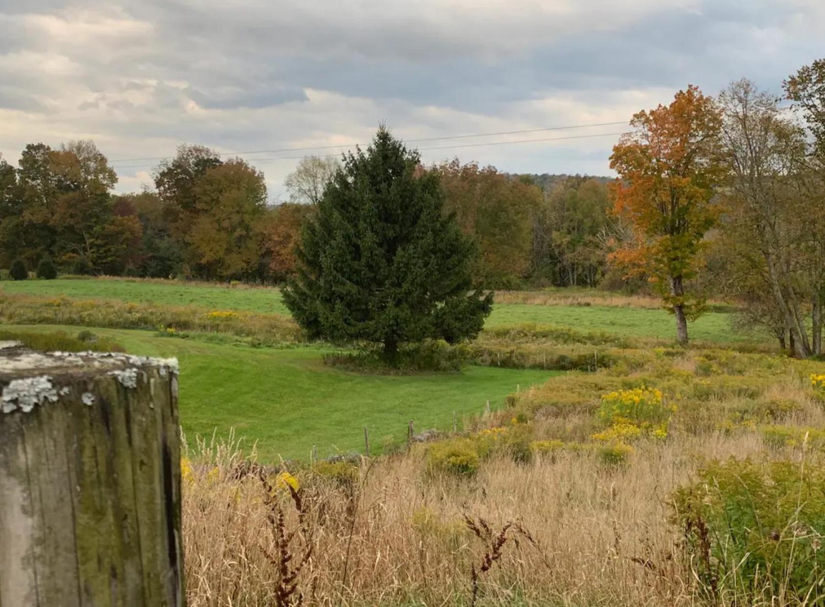 Idea Farm Otel Callicoon Center Dış mekan fotoğraf