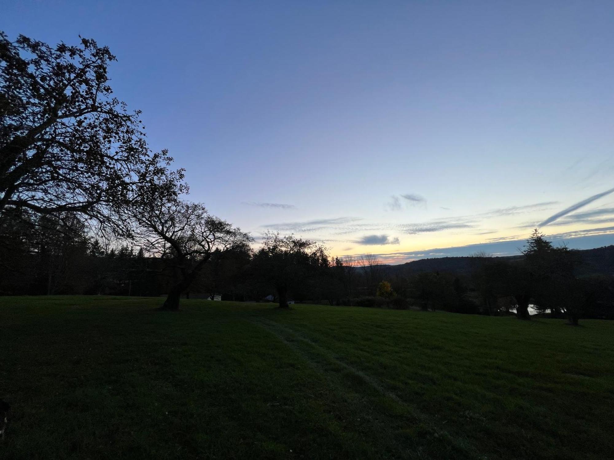 Idea Farm Otel Callicoon Center Dış mekan fotoğraf