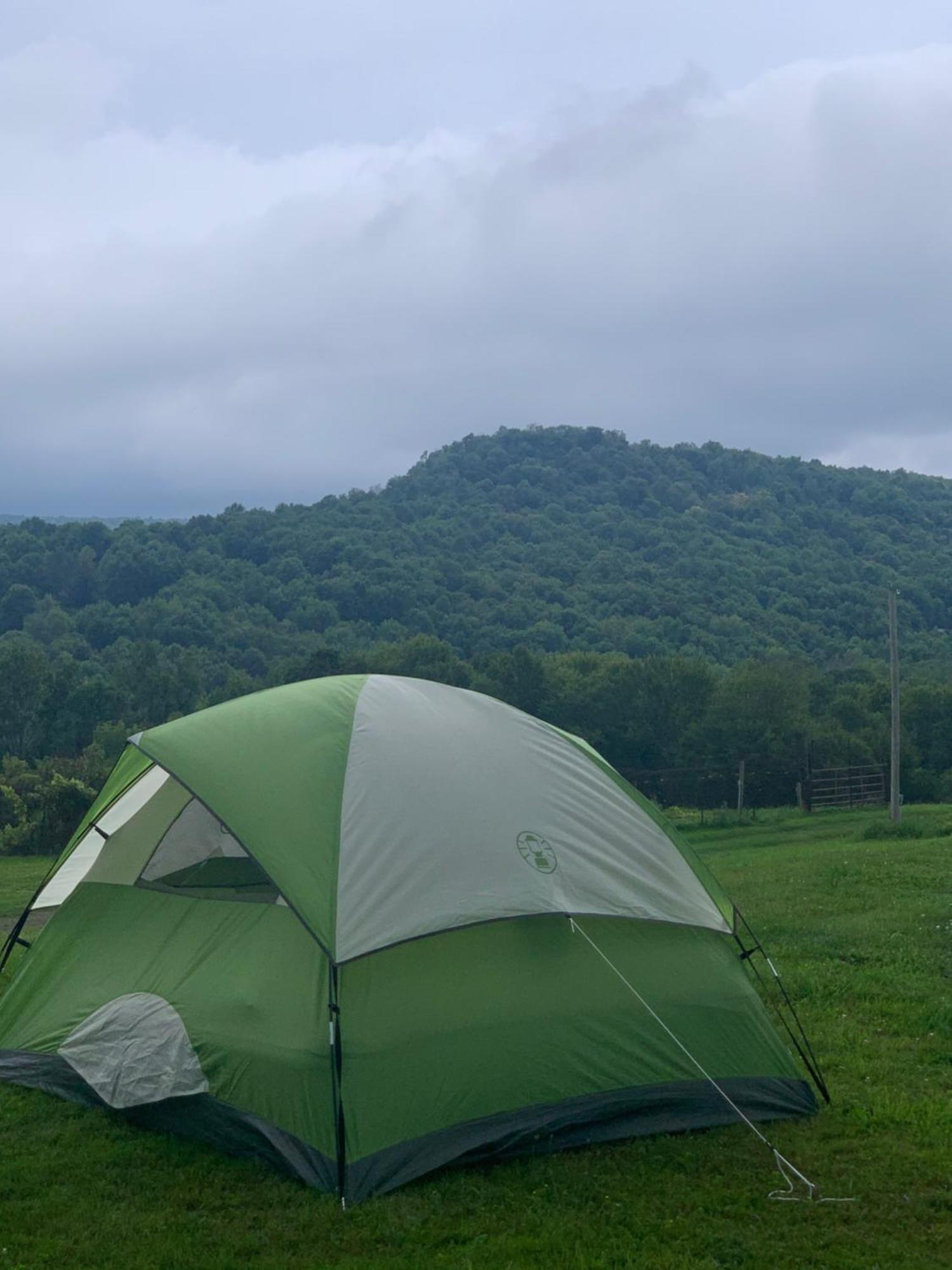Idea Farm Otel Callicoon Center Dış mekan fotoğraf